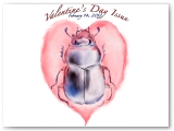 Bug My Valentine by Linda Saboe.
